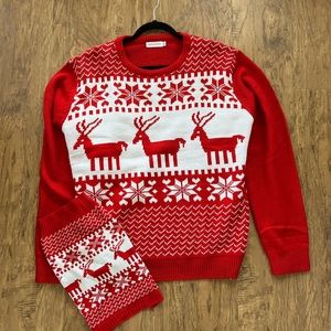 Matching dog and owner Christmas sweaters